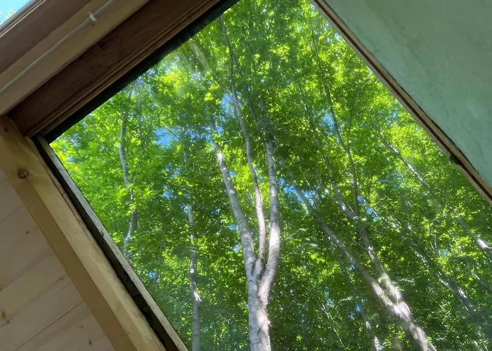 Casetta Silva * Berioli